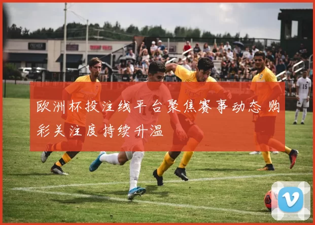 欧洲杯投注线平台聚焦赛事动态 购彩关注度持续升温