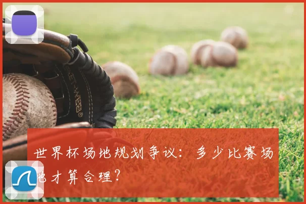 世界杯场地规划争议:多少比赛场地才算合理?