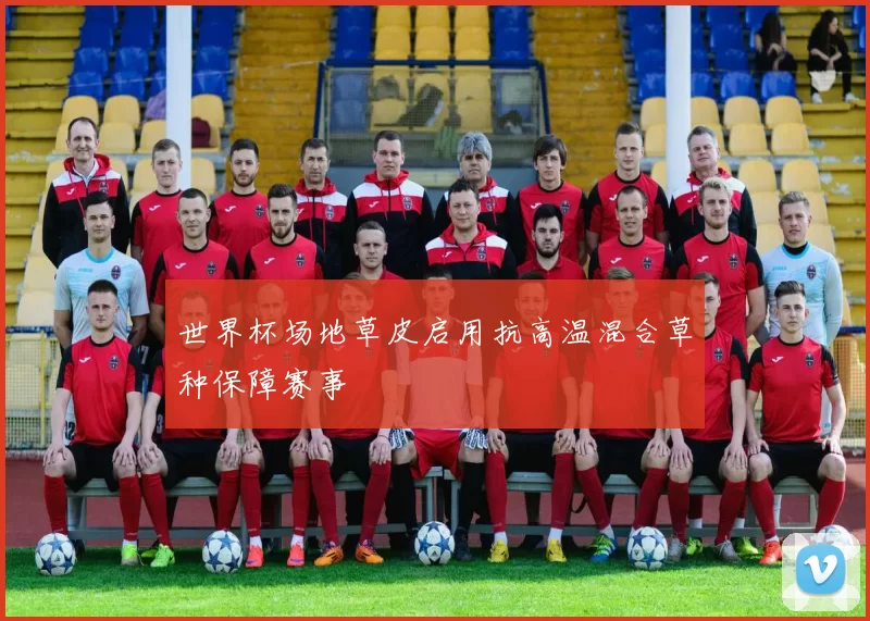 世界杯场地草皮启用抗高温混合草种保障赛事