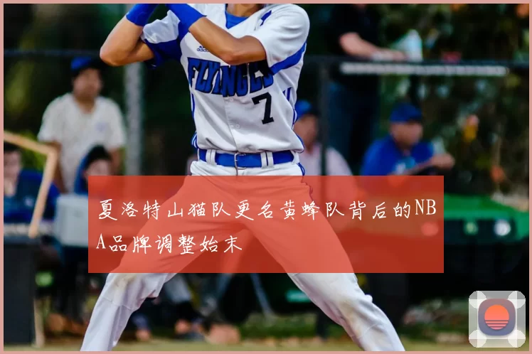 夏洛特山猫队更名黄蜂队背后的NBA品牌调整始末