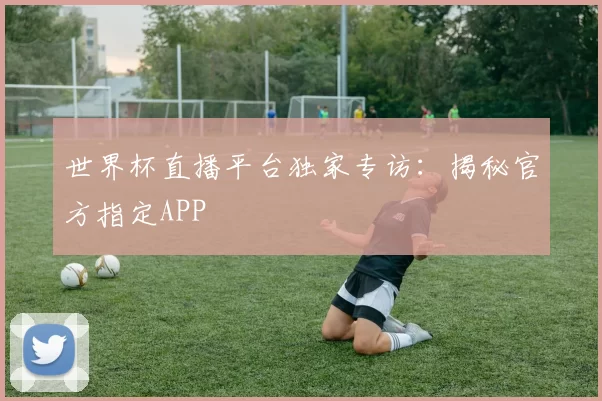 世界杯直播平台独家专访：揭秘官方指定APP