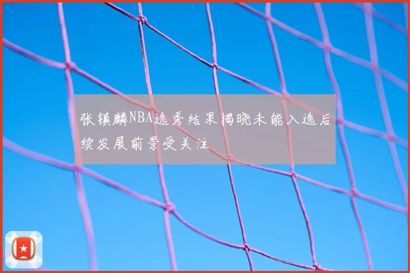 张镇麟NBA选秀结果揭晓未能入选后续发展前景受关注