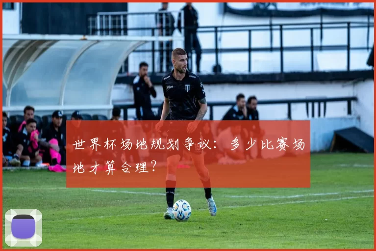 世界杯场地规划争议：多少比赛场地才算合理？