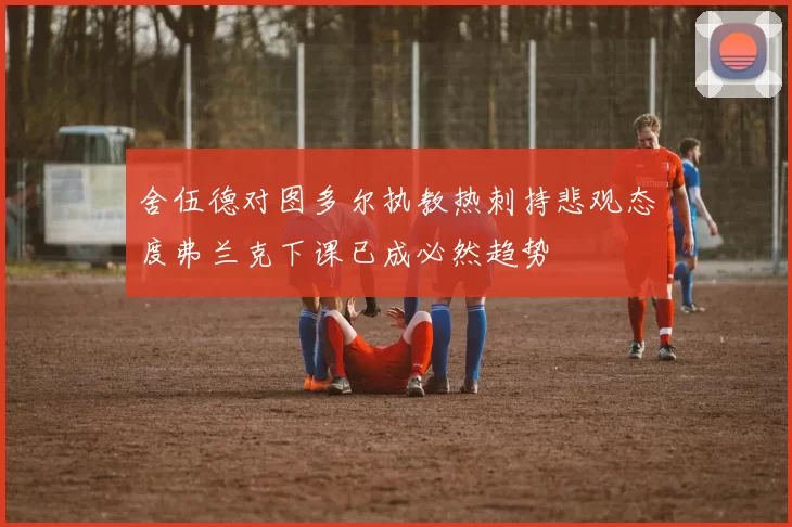 舍伍德对图多尔执教热刺持悲观态度弗兰克下课已成必然趋势