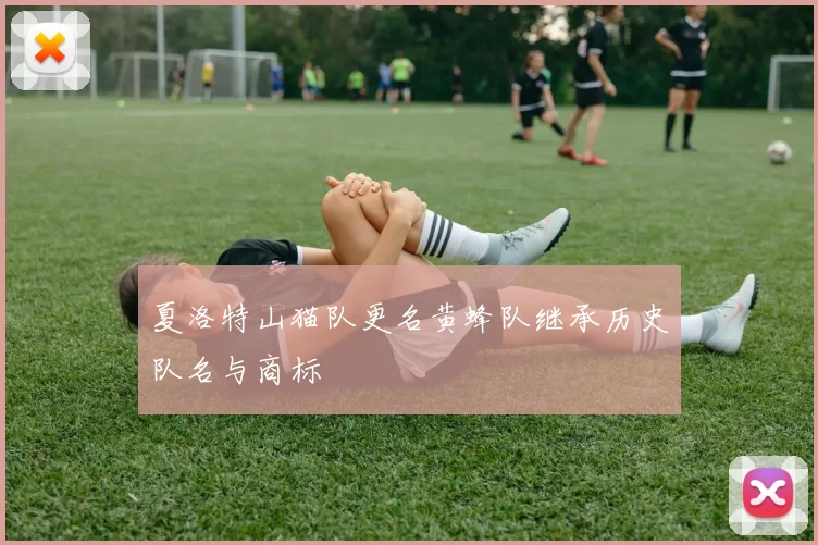 夏洛特山猫队更名黄蜂队继承历史队名与商标