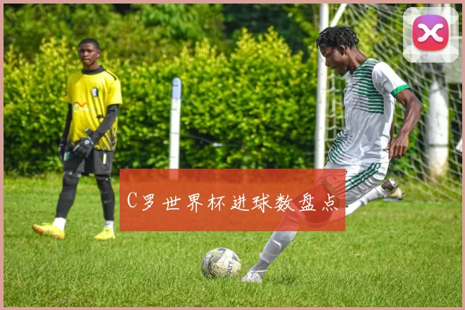 C罗世界杯进球数盘点