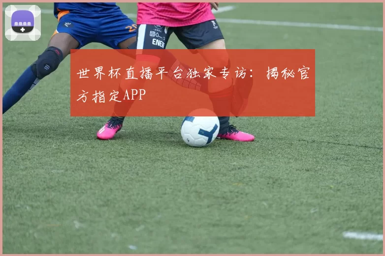 世界杯直播平台独家专访:揭秘官方指定APP