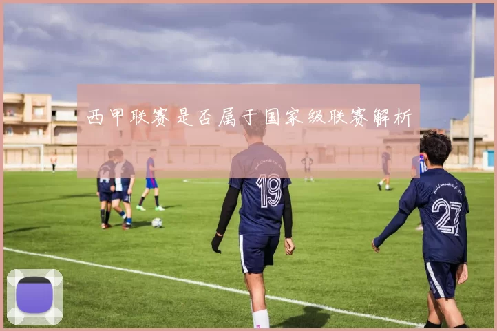 西甲联赛是否属于国家级联赛解析