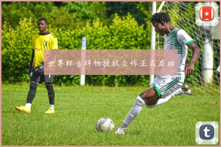 世界杯吉祥物授权合作正式启动