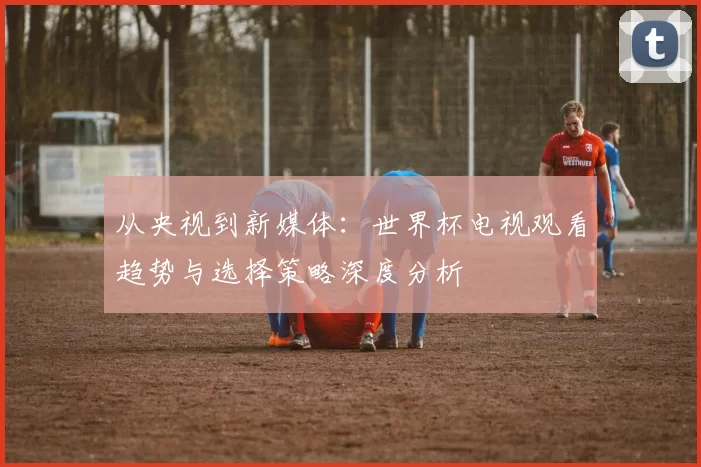 从央视到新媒体：世界杯电视观看趋势与选择策略深度分析