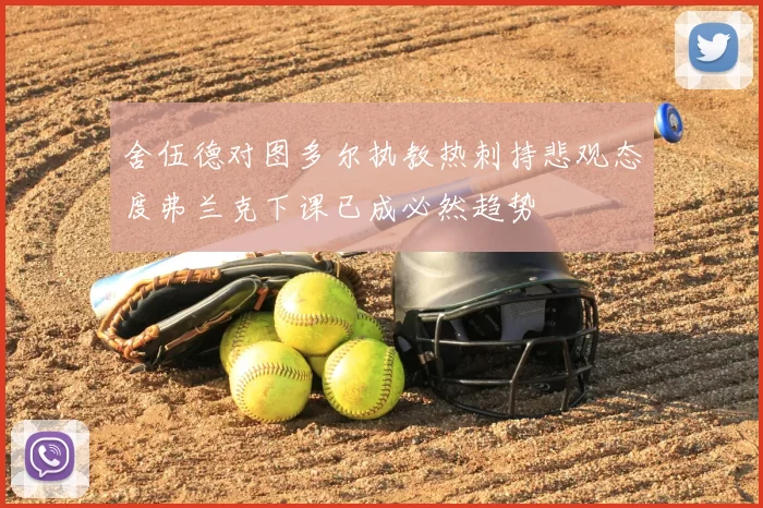 舍伍德对图多尔执教热刺持悲观态度弗兰克下课已成必然趋势