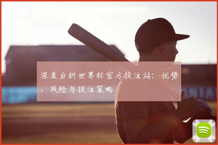深度分析世界杯官方投注站：优势、风险与投注策略