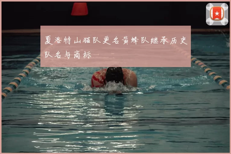 夏洛特山猫队更名黄蜂队继承历史队名与商标